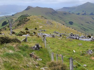 Rod Donald Banks Peninsula Trust